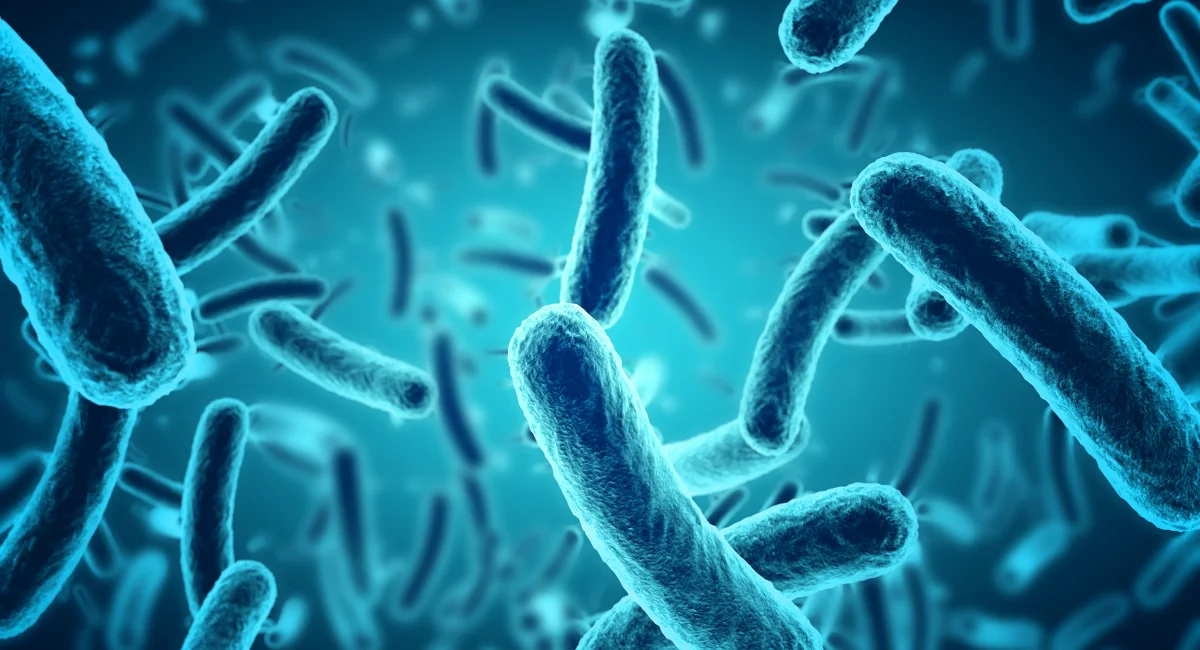 blue-bacteria