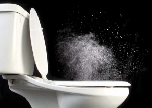habits of hygiene dirty toilet